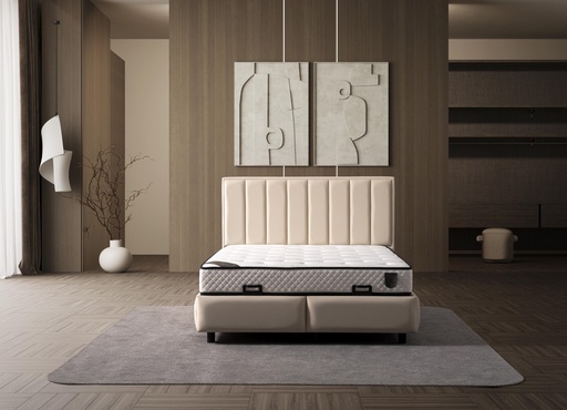 DREAM  140*200